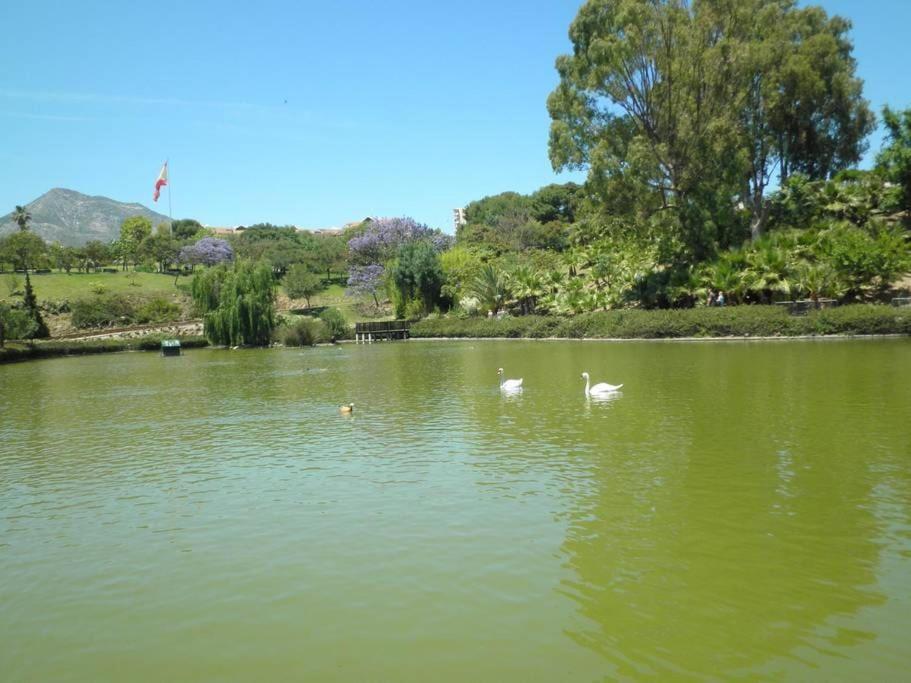 Randmar Apartment Costa Del Sol بينالماذينا المظهر الخارجي الصورة